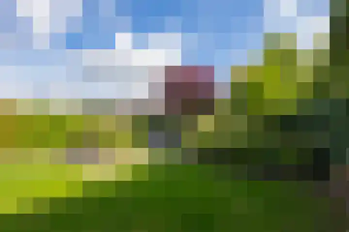 Elstar 4 Buren thumbnail 43