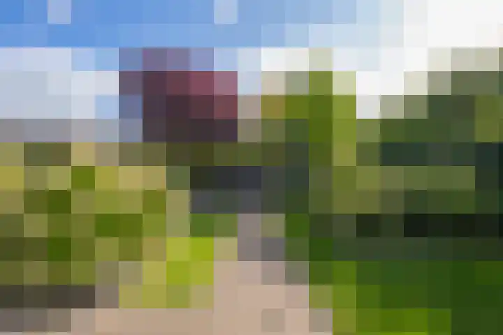 Elstar 4 Buren thumbnail 44