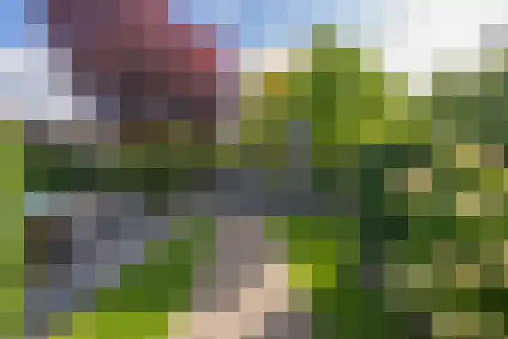 Elstar 4 Buren thumbnail 45