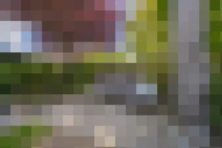 Elstar 4 Buren thumbnail 46