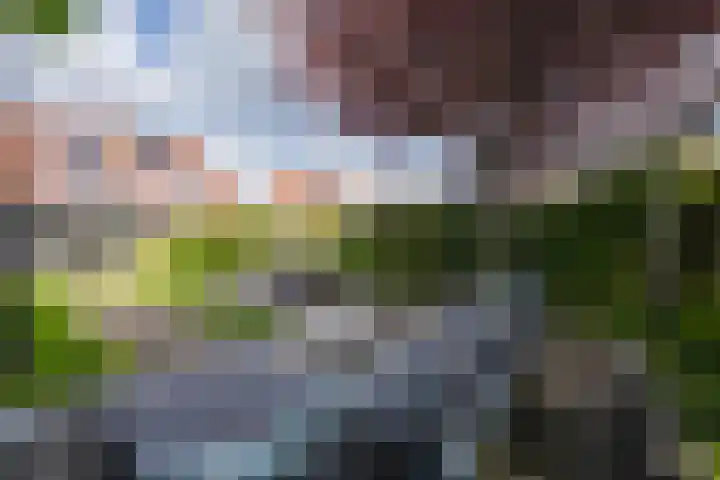 Elstar 4 Buren thumbnail 47