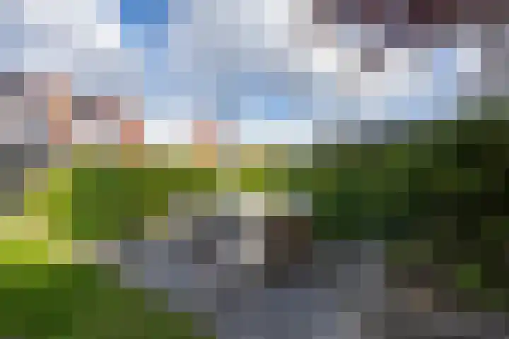 Elstar 4 Buren thumbnail 48