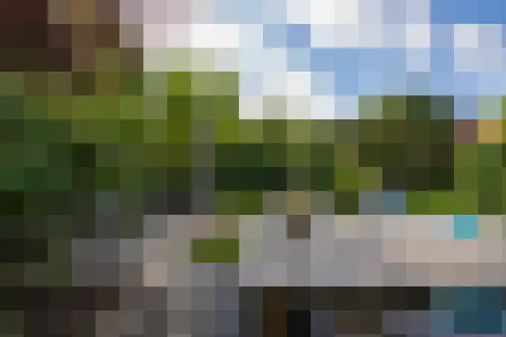 Elstar 4 Buren thumbnail 49