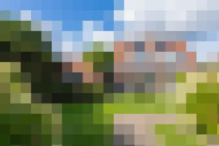 Elstar 4 Buren thumbnail 50