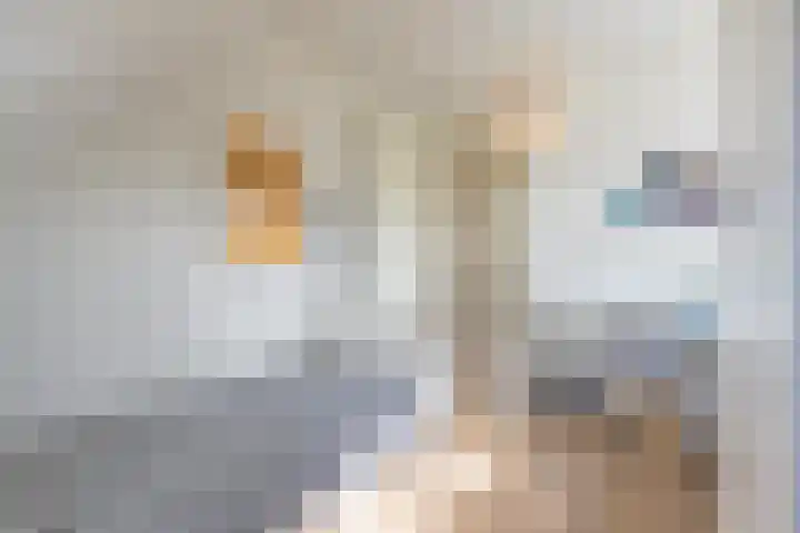 Elstar 4 Buren thumbnail 54