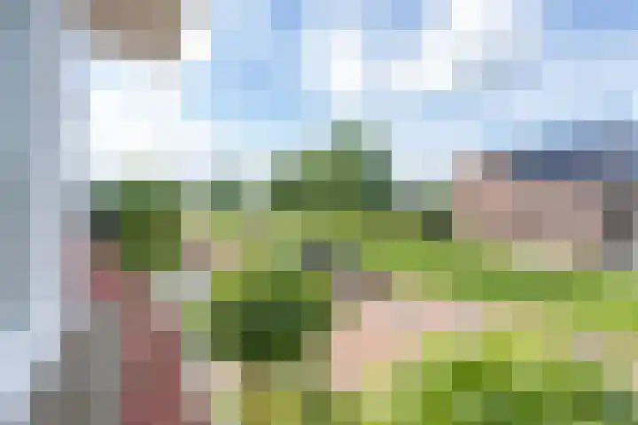 Elstar 4 Buren thumbnail 56