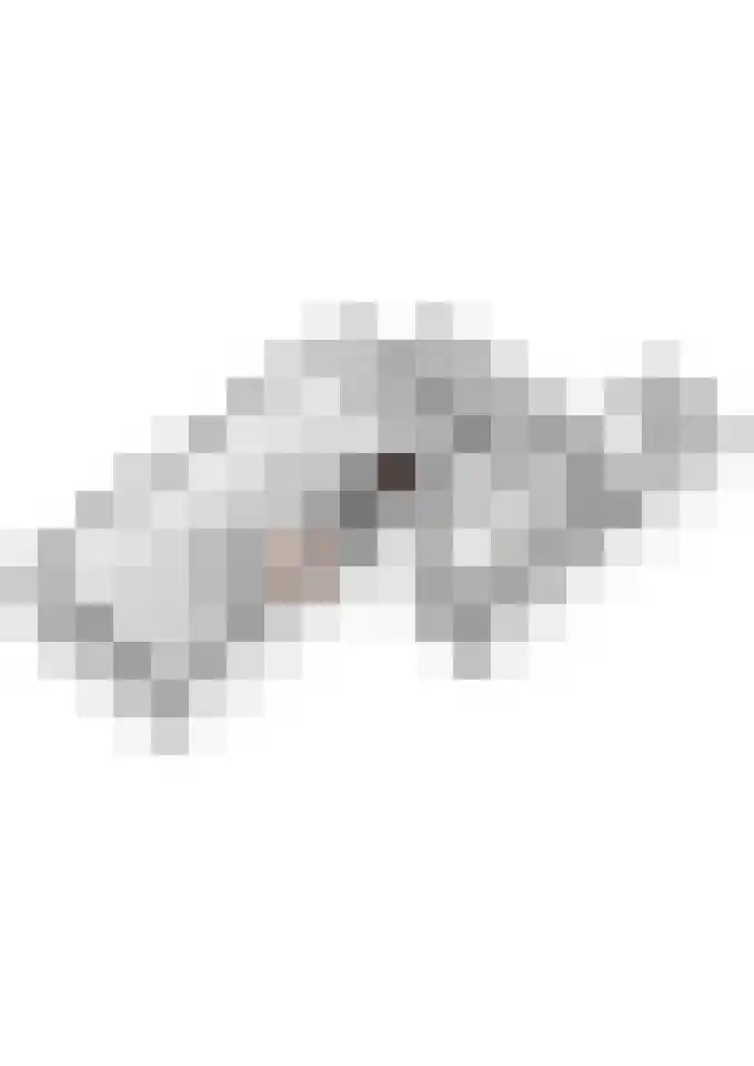 Elstar 4 Buren thumbnail 69