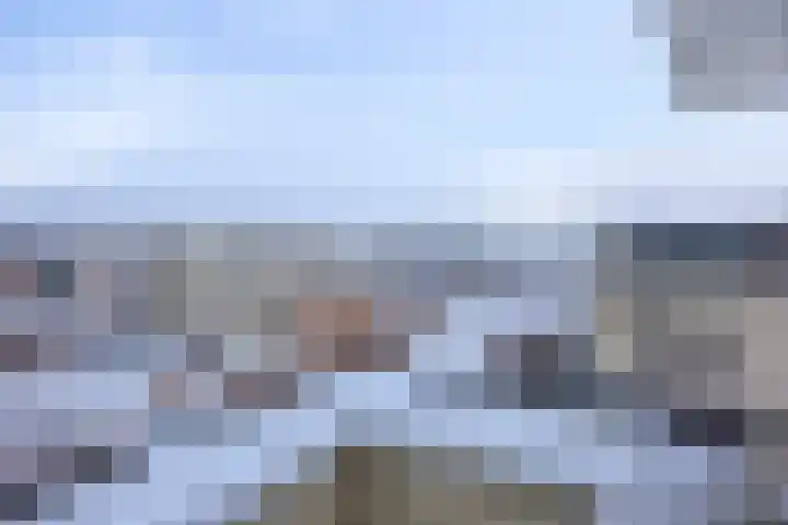 Elstarpad 2 IJsselstein thumbnail 39
