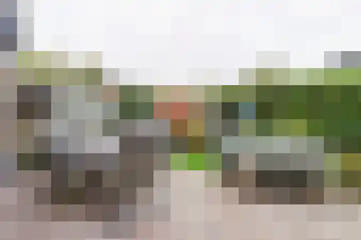 Elstarstraat 50 Kapelle thumbnail 36