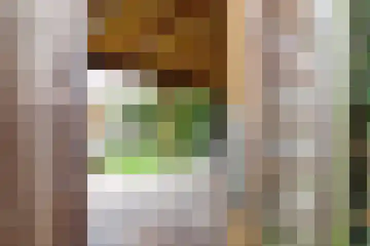 Elstarstraat 50 Kapelle thumbnail 39