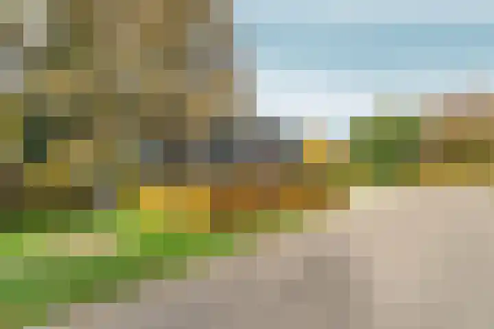 Elsteren 9 Well L