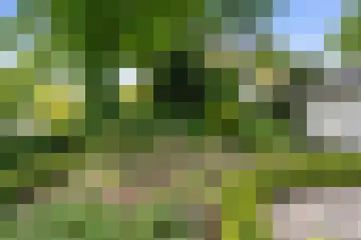 Elterse Hof 24 Bennekom thumbnail 13