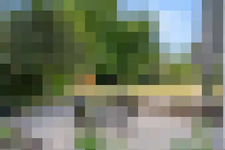 Elterse Hof 24 Bennekom thumbnail 14
