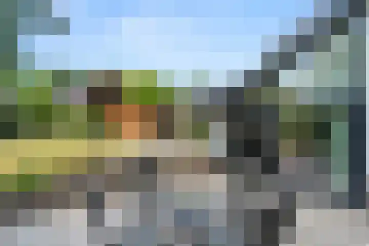 Elterse Hof 24 Bennekom thumbnail 15