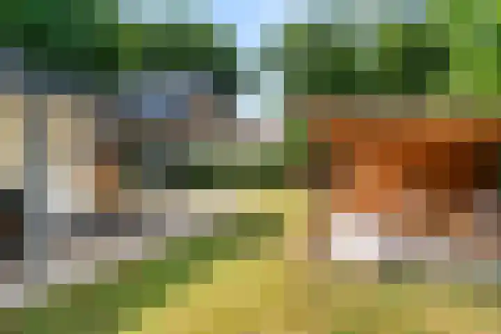 Elterse Hof 24 Bennekom thumbnail 23