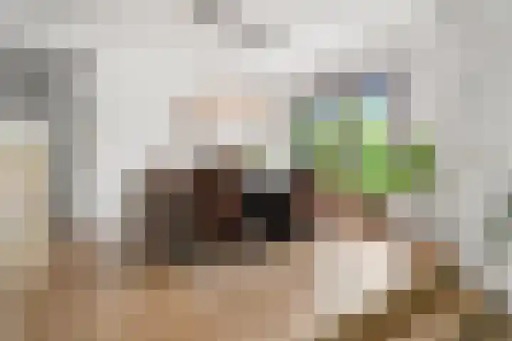 Elterse Hof 24 Bennekom thumbnail 33