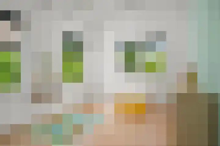 Elterse Hof 24 Bennekom thumbnail 54