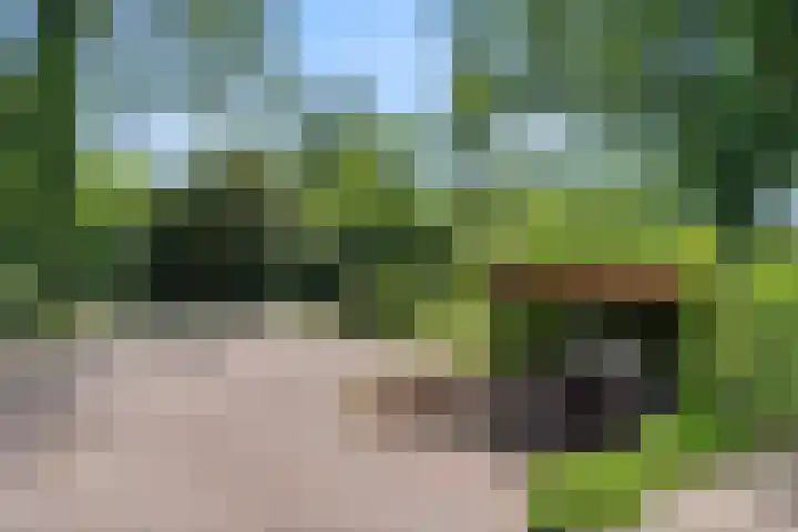 Elterse Hof 24 Bennekom thumbnail 8