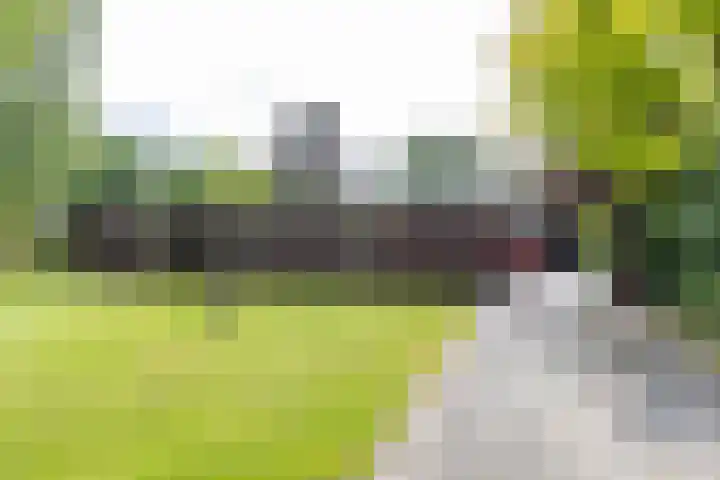 Eltinge 41 Zuidlaren