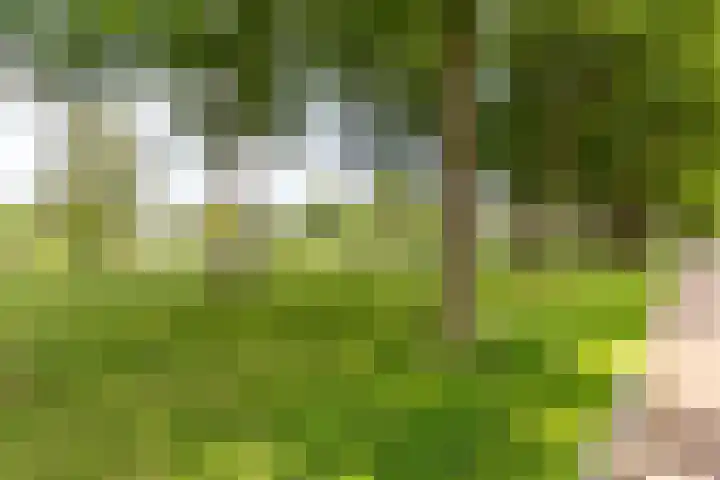 Eltinge 41 Zuidlaren thumbnail 11