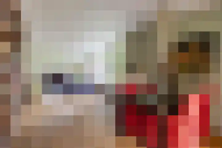 Eltinge 41 Zuidlaren thumbnail 20