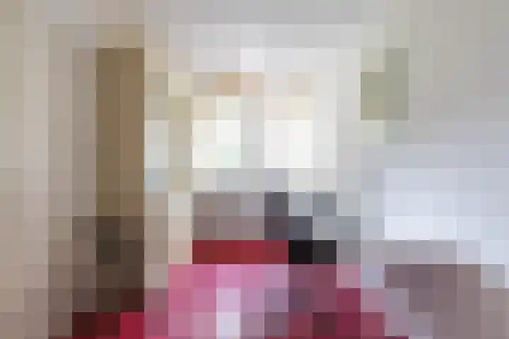 Eltinge 41 Zuidlaren thumbnail 32