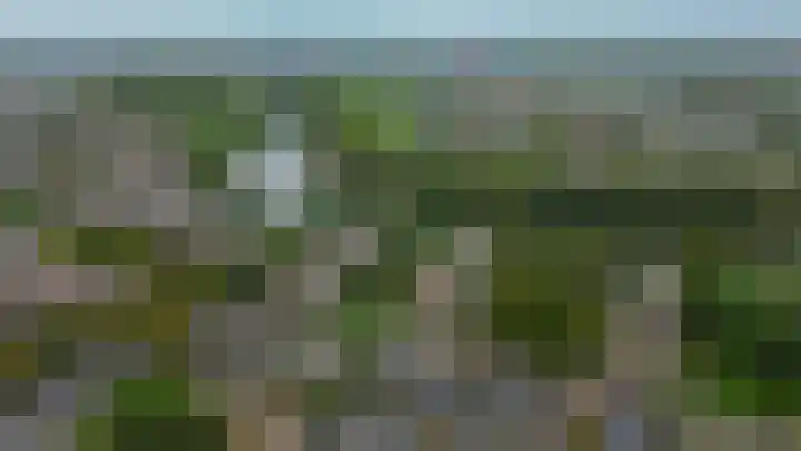 Eltinge 41 Zuidlaren thumbnail 43