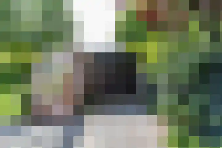 Eltinge 41 Zuidlaren thumbnail 43