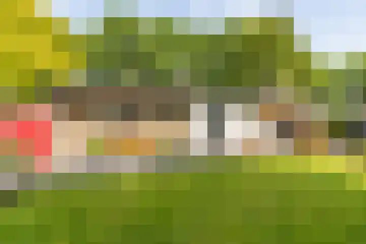 Eltinge 41 Zuidlaren thumbnail 48