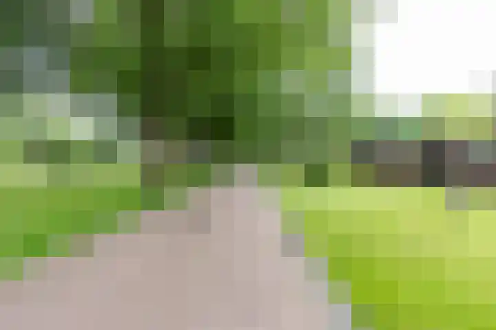 Eltinge 41 Zuidlaren thumbnail 5