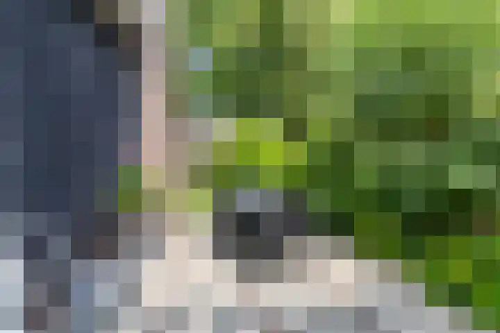 Eltinge 41 Zuidlaren thumbnail 58