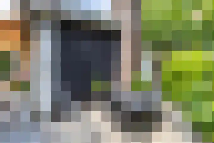 Eltinge 41 Zuidlaren thumbnail 59