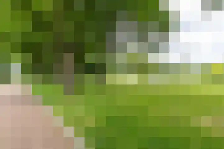 Eltinge 41 Zuidlaren thumbnail 6