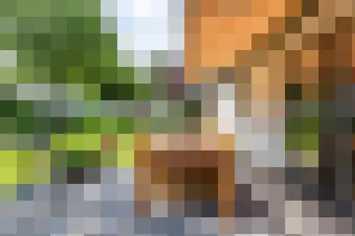 Eltinge 41 Zuidlaren thumbnail 60