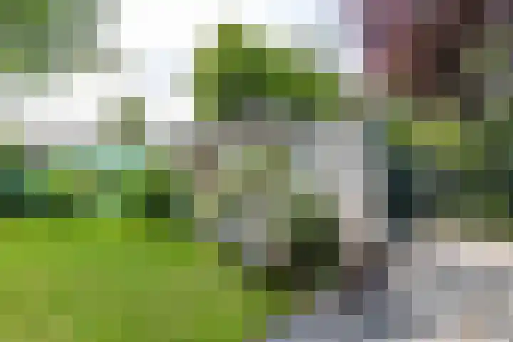 Eltinge 41 Zuidlaren thumbnail 64