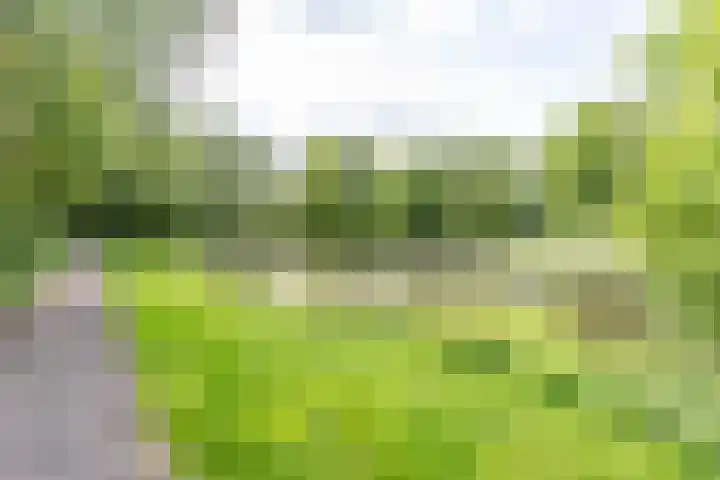 Eltinge 41 Zuidlaren thumbnail 9