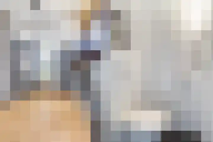 Elzekamp 10 Tytsjerk thumbnail 13