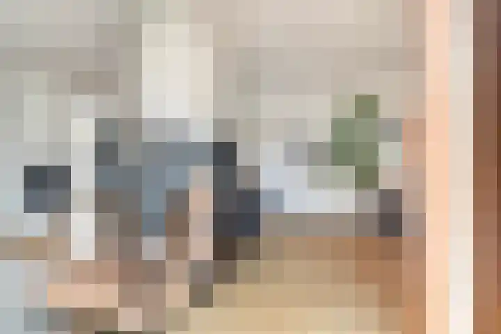 Elzekamp 10 Tytsjerk thumbnail 16