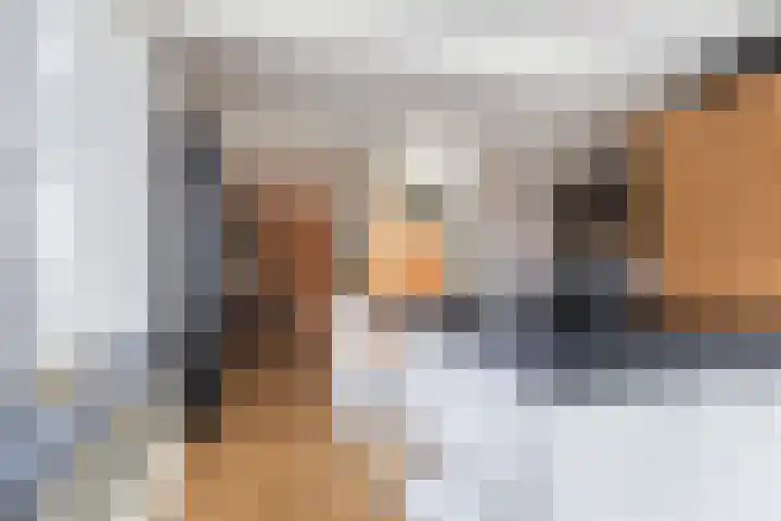 Elzekamp 10 Tytsjerk thumbnail 23