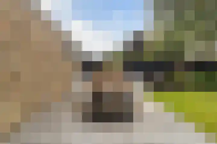 Elzekamp 10 Tytsjerk thumbnail 27