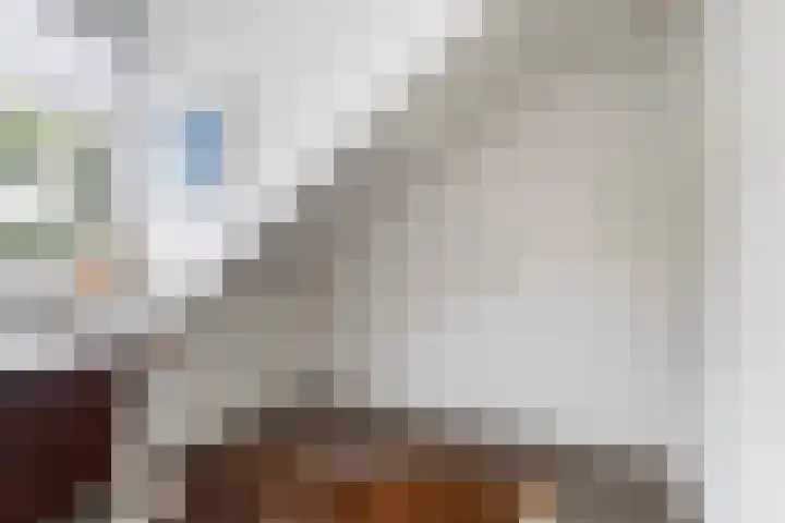 Elzekamp 10 Tytsjerk thumbnail 38