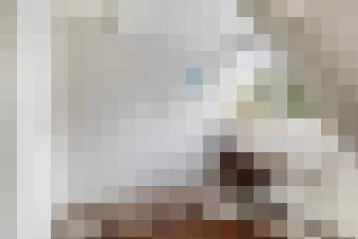 Elzekamp 10 Tytsjerk thumbnail 39