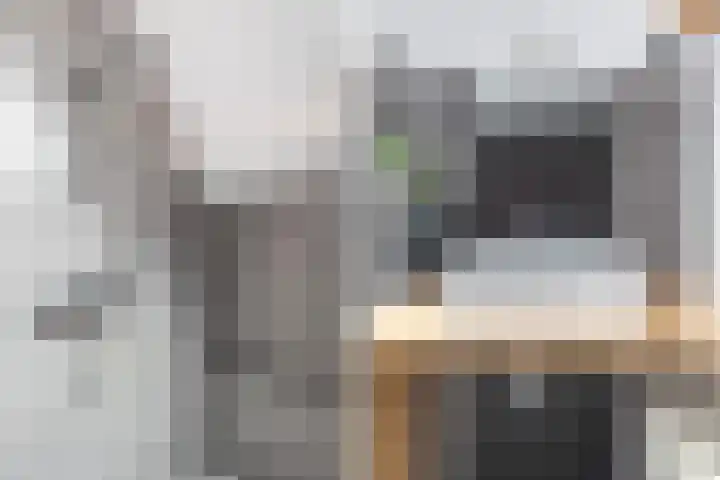 Elzekamp 10 Tytsjerk thumbnail 43