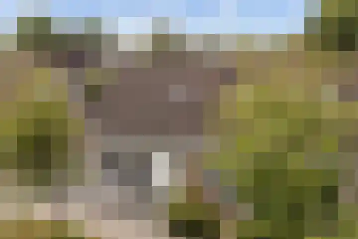 Elzekamp 10 Tytsjerk thumbnail 44