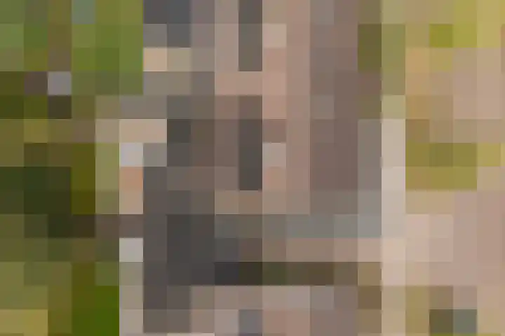Elzekamp 10 Tytsjerk thumbnail 48