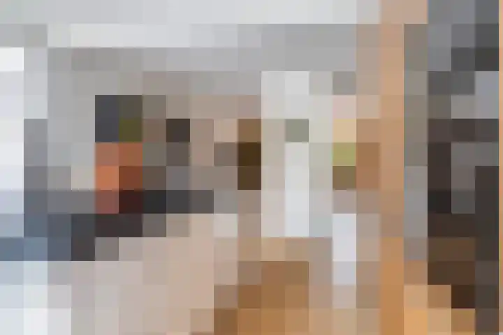 Elzekamp 10 Tytsjerk thumbnail 5