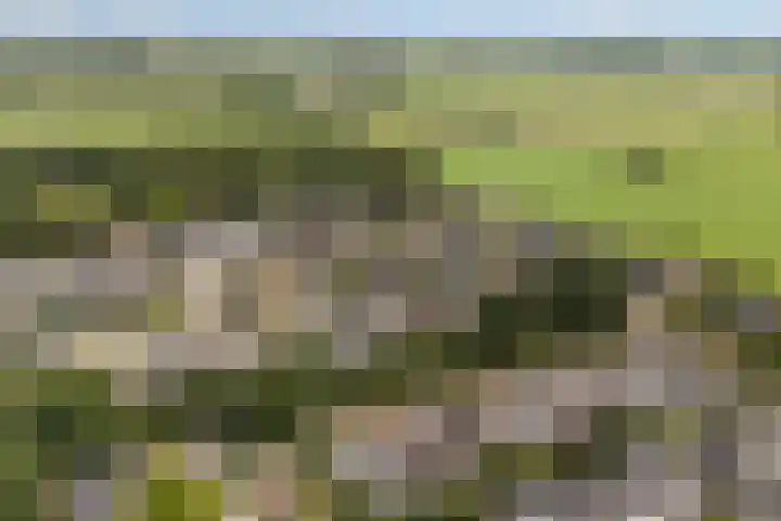 Elzekamp 10 Tytsjerk thumbnail 51