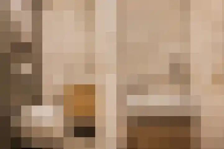 Elzekamp 14 Tytsjerk thumbnail 13