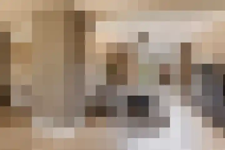 Elzekamp 14 Tytsjerk thumbnail 14