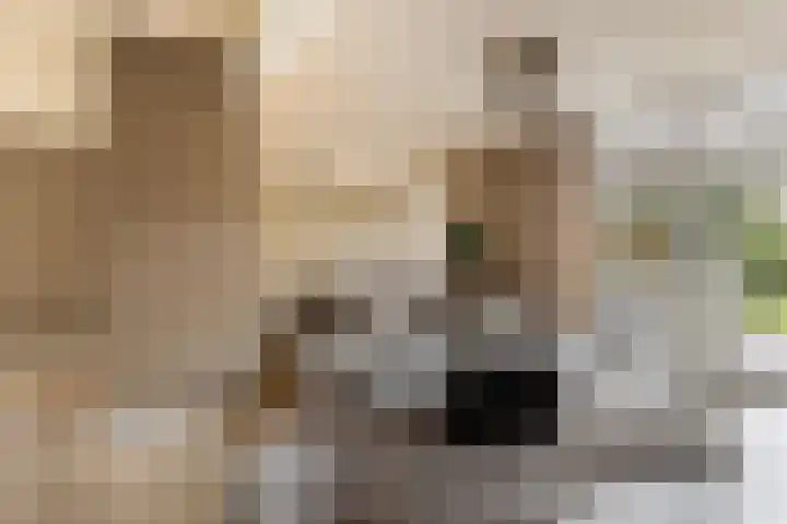 Elzekamp 14 Tytsjerk thumbnail 16